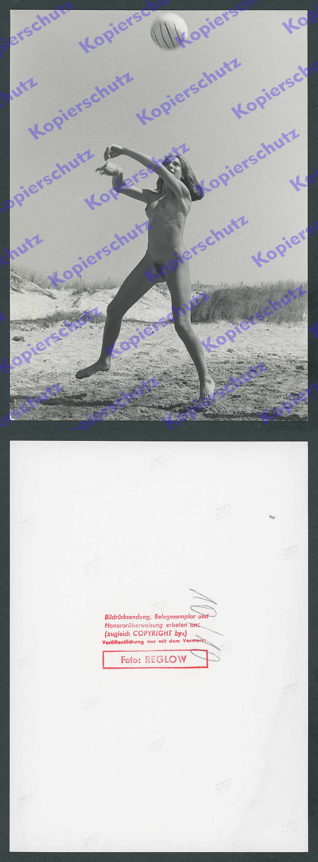 Orig Foto Akt Frau Athletik Nacktsport Körper Muskeln Strand Lebensreform 1958 Ebay 